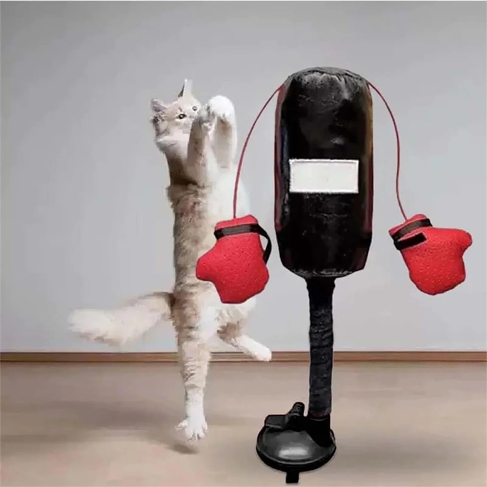 Cat Punching Bag Toy, Interactive Portable Indoor Cats Toys, Cat Boxing Toy, Interactive Cats Toys Punching Bag, Mini Boxing Punching Bag
